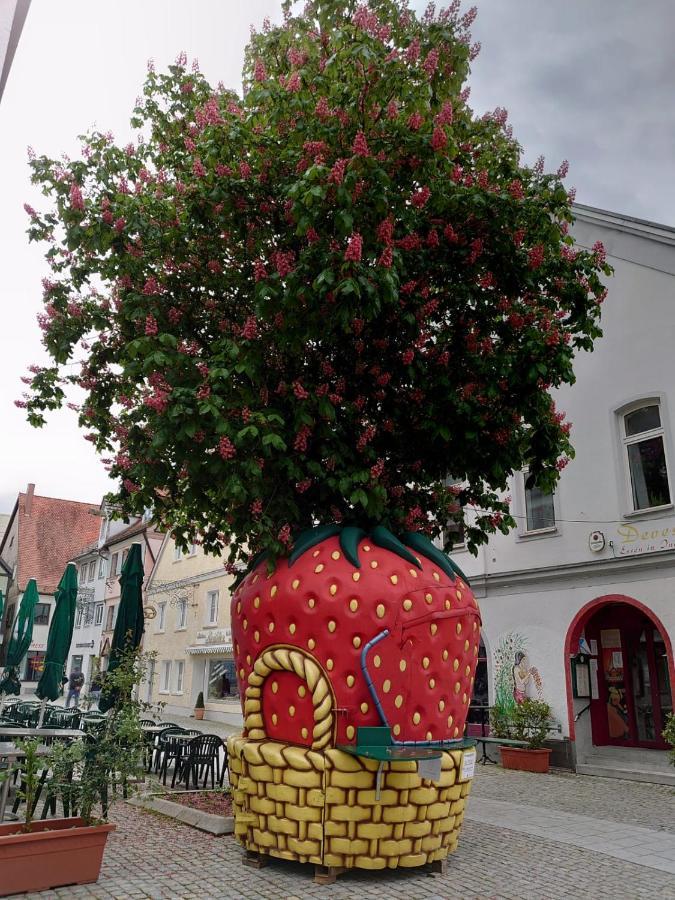 Ferienwohnungen Bögner Günzburg Exterior foto